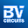 BV Circuits logo