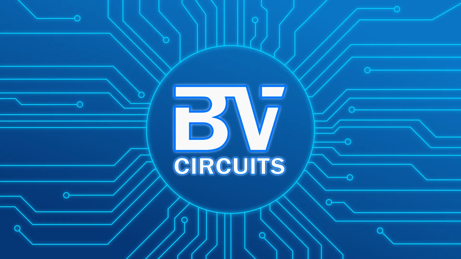 BV Circuits Demo Video